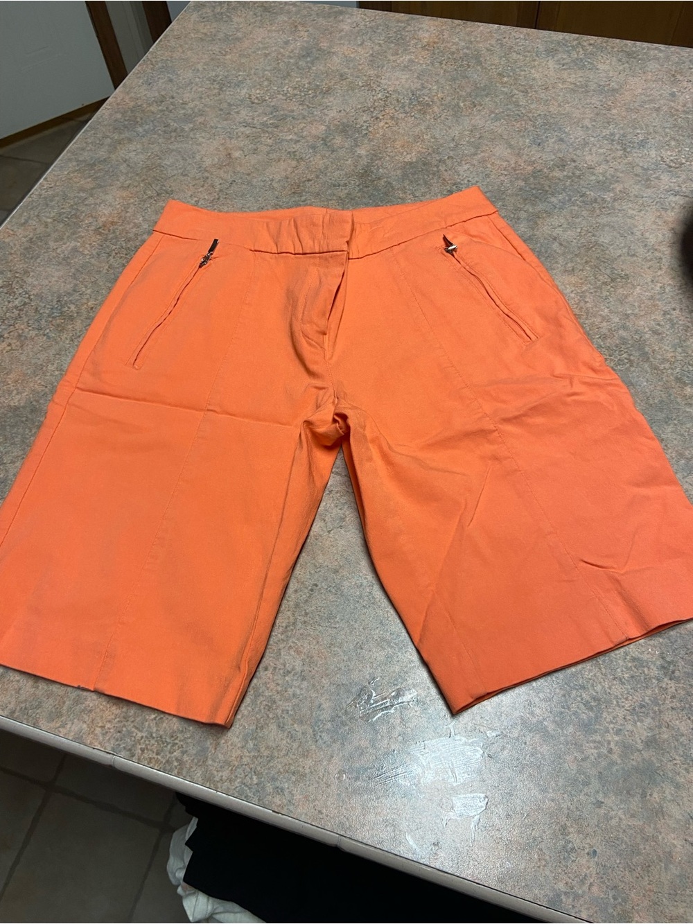 Izod Golf Shorts (nwot)